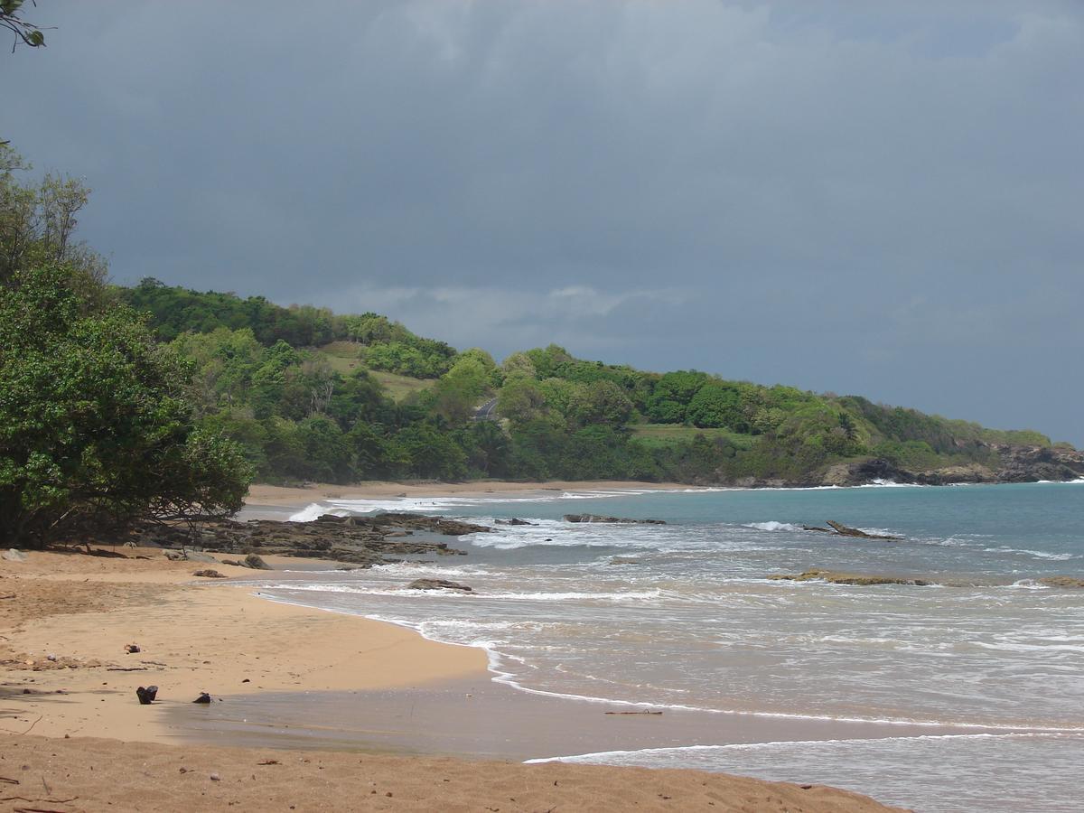 La Baie Du Bonheur Bed & Breakfast Deshaies Bagian luar foto