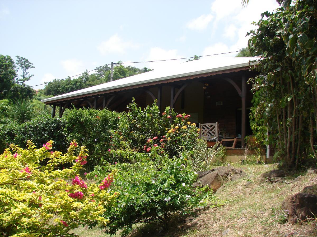 La Baie Du Bonheur Bed & Breakfast Deshaies Bagian luar foto